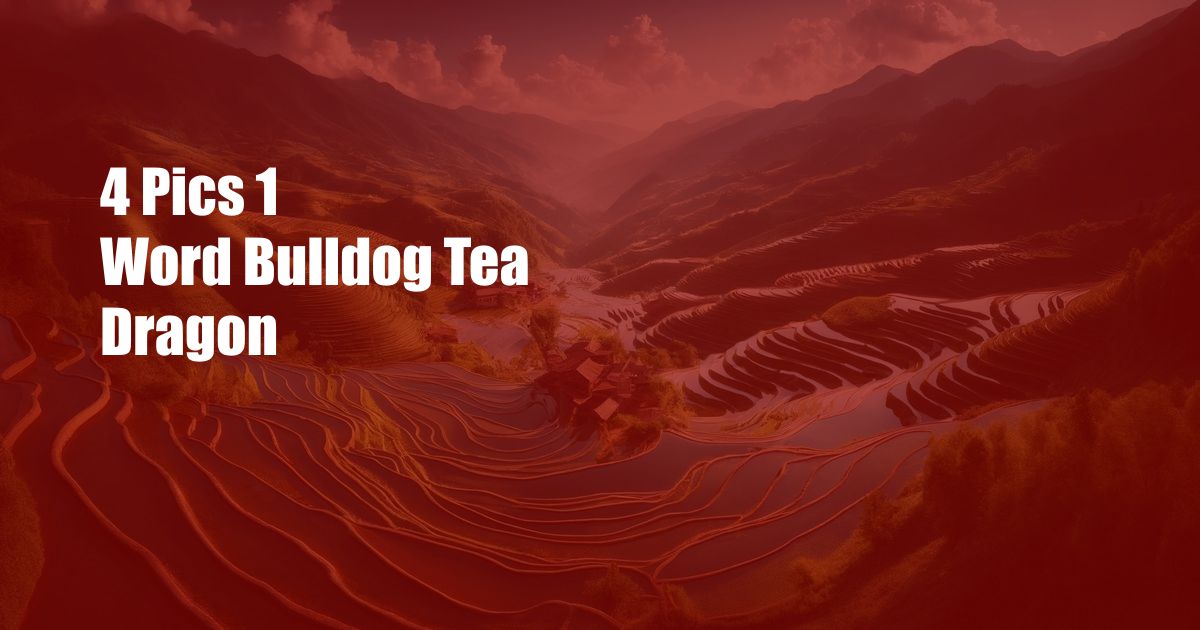 4 Pics 1 Word Bulldog Tea Dragon