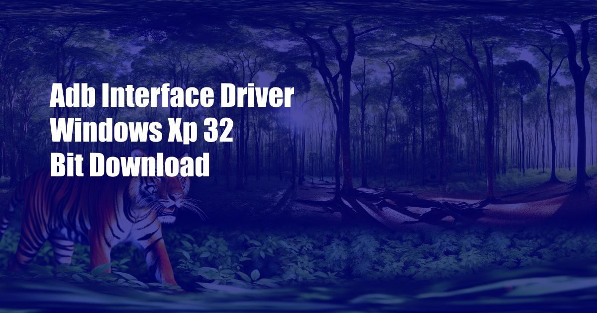 Adb Interface Driver Windows Xp 32 Bit Download