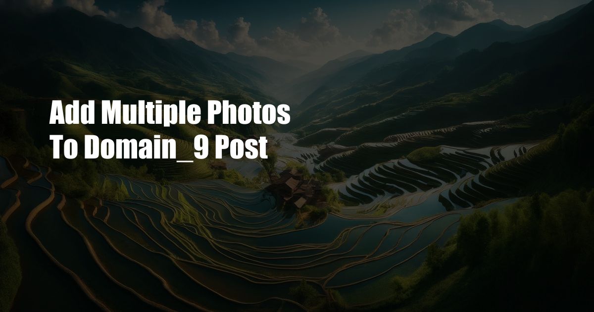 Add Multiple Photos To Domain_9 Post