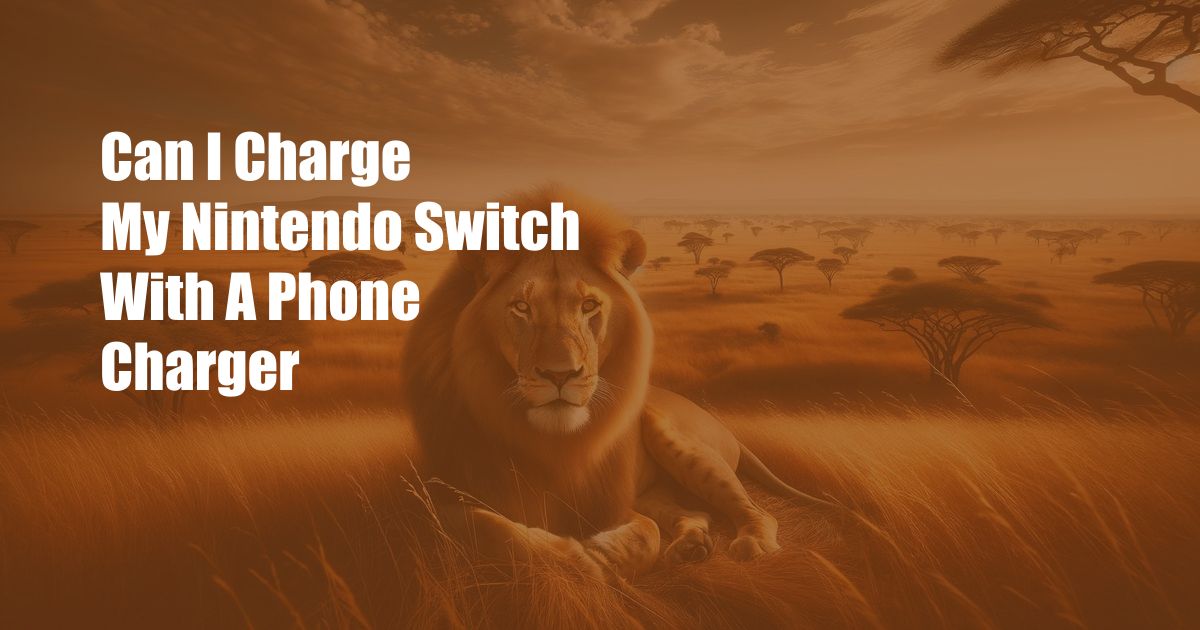Can I Charge My Nintendo Switch With A Phone Charger