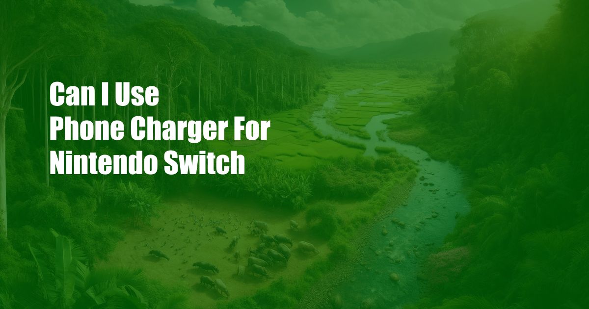 Can I Use Phone Charger For Nintendo Switch