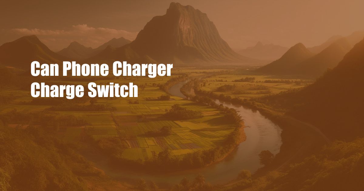 Can Phone Charger Charge Switch