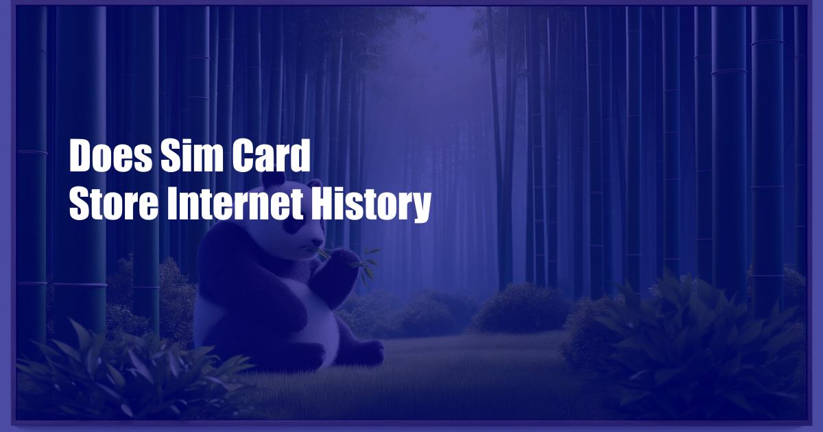 Does Sim Card Store Internet History