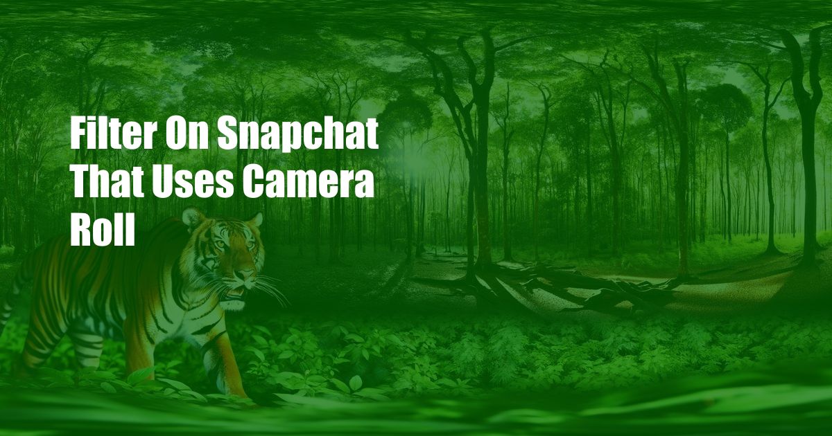Filter On Snapchat That Uses Camera Roll