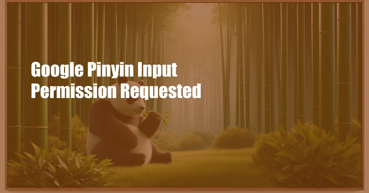 Google Pinyin Input Permission Requested