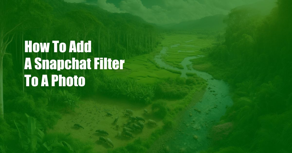 How To Add A Snapchat Filter To A Photo