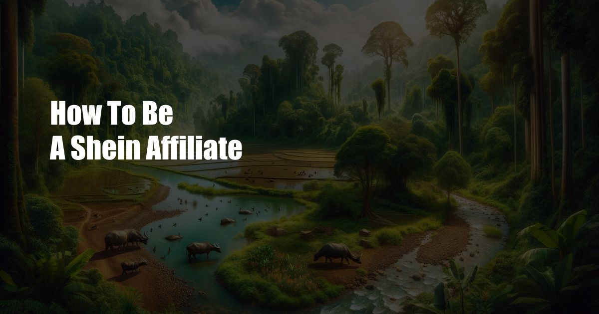 How To Be A Shein Affiliate