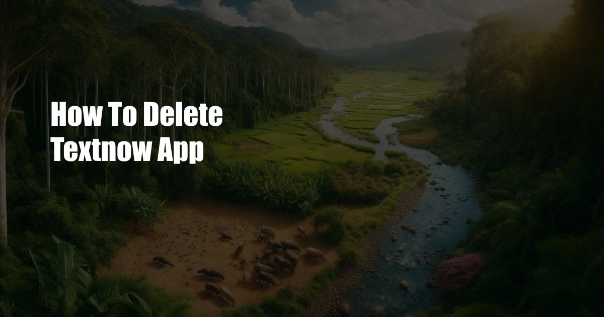 How To Delete Textnow App