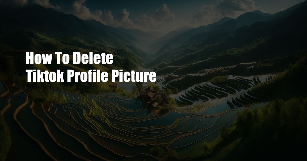 How To Delete Tiktok Profile Picture