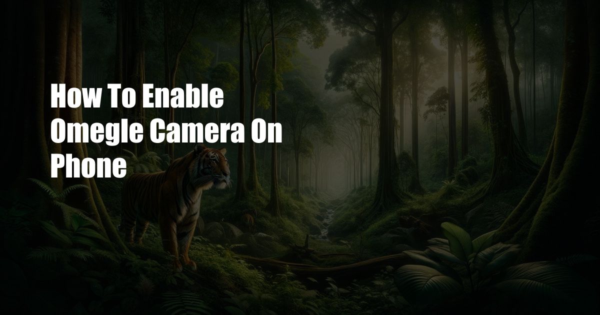 How To Enable Omegle Camera On Phone