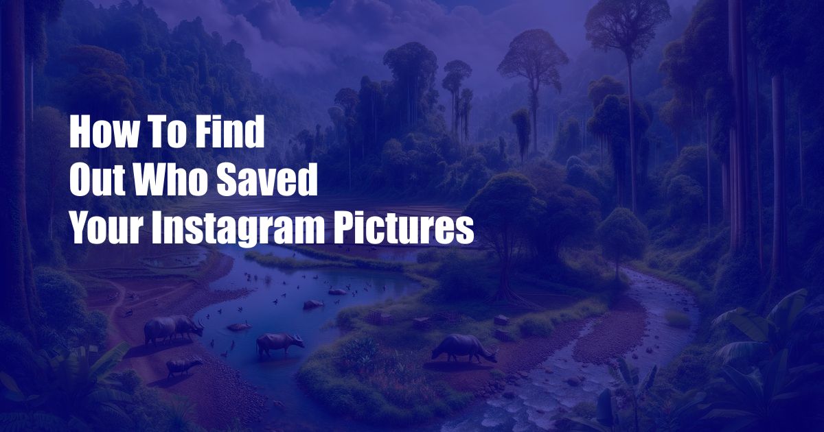 How To Find Out Who Saved Your Instagram Pictures