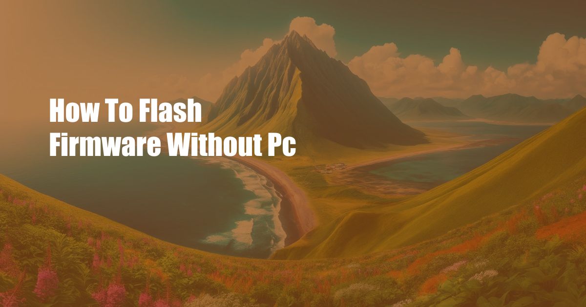 How To Flash Firmware Without Pc