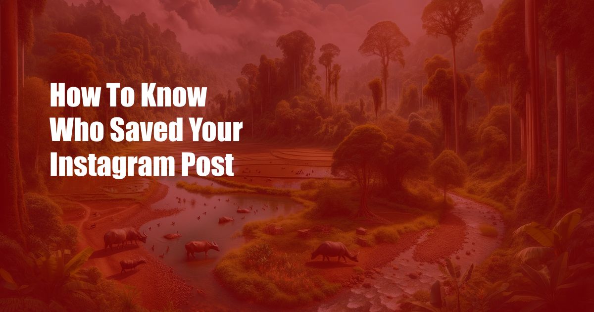 How To Know Who Saved Your Instagram Post