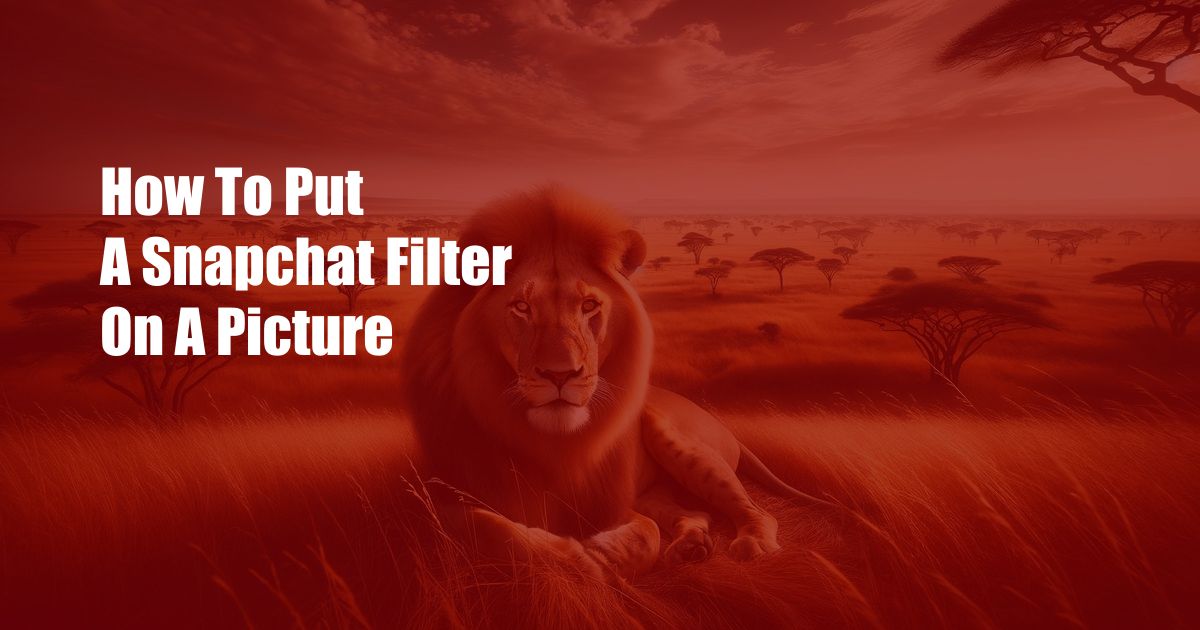 How To Put A Snapchat Filter On A Picture