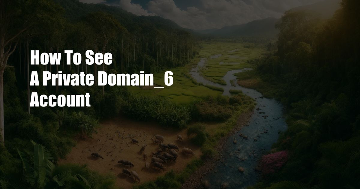 How To See A Private Domain_6 Account
