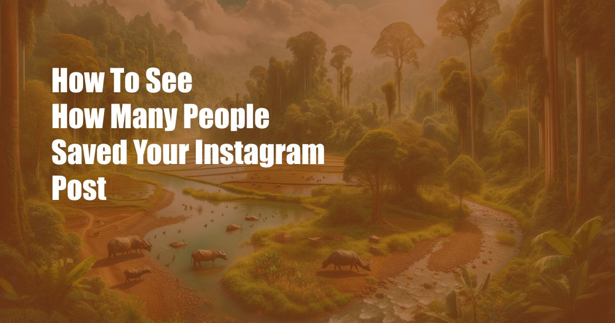 How To See How Many People Saved Your Instagram Post