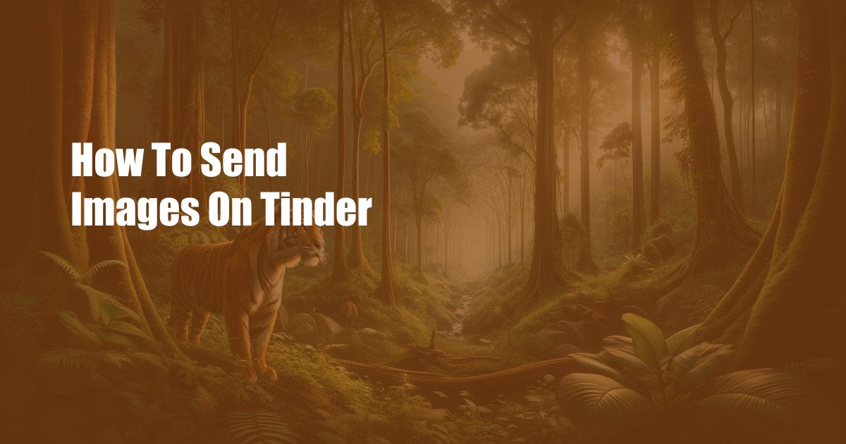 How To Send Images On Tinder