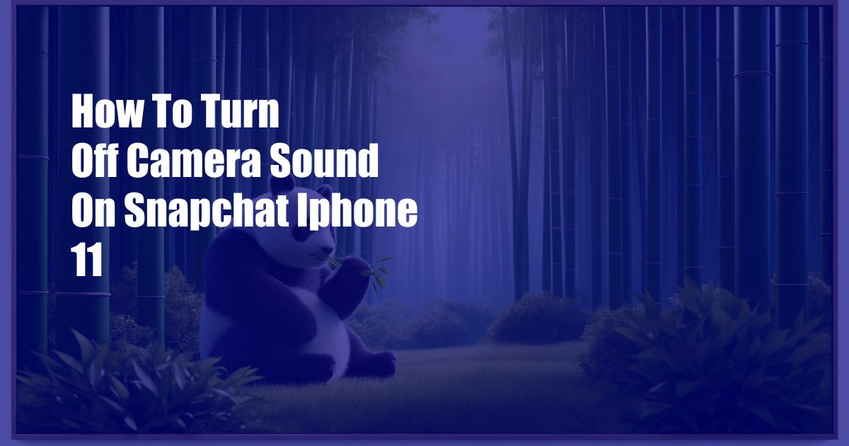 How To Turn Off Camera Sound On Snapchat Iphone 11