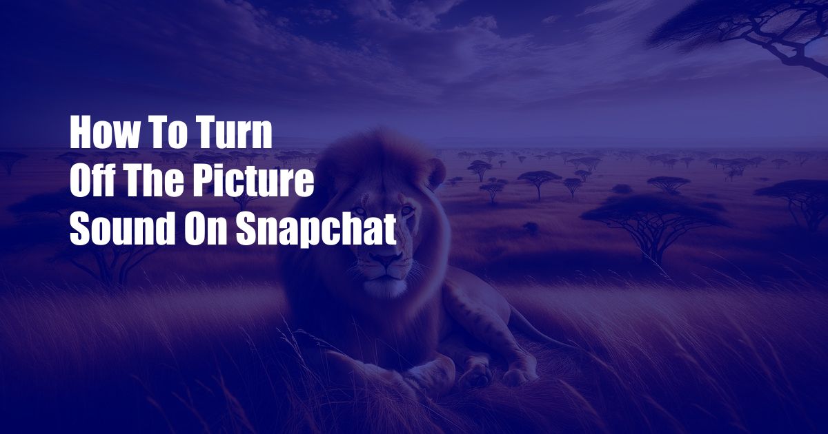 How To Turn Off The Picture Sound On Snapchat