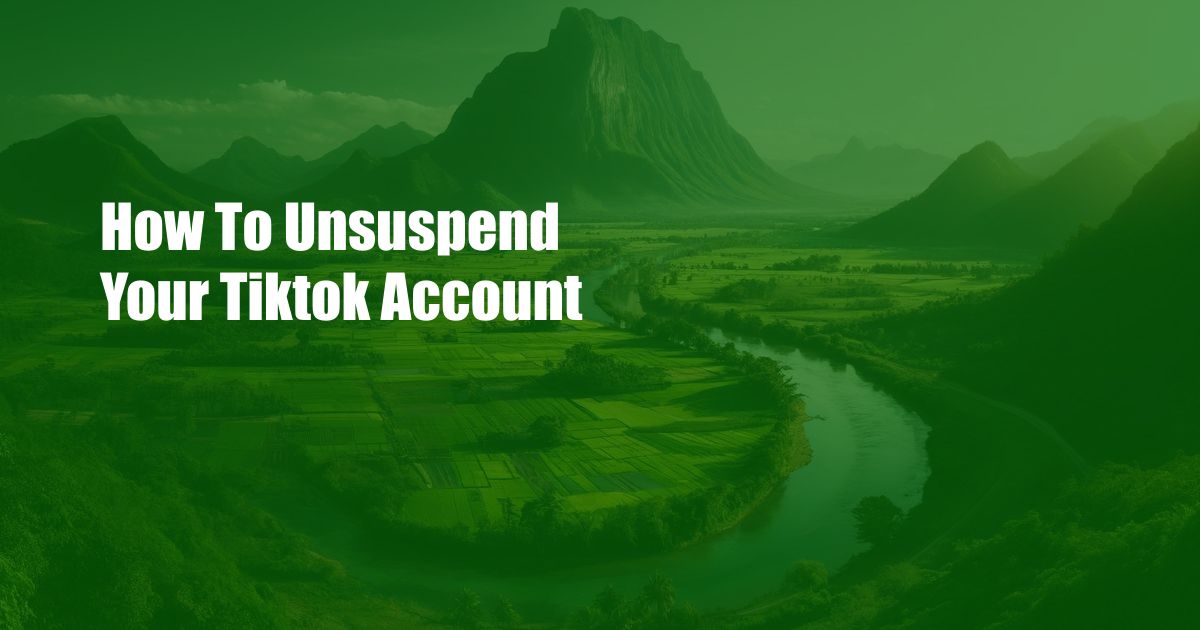 How To Unsuspend Your Tiktok Account