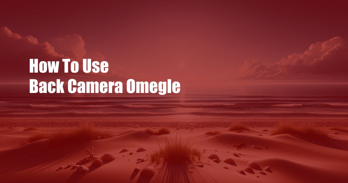 How To Use Back Camera Omegle