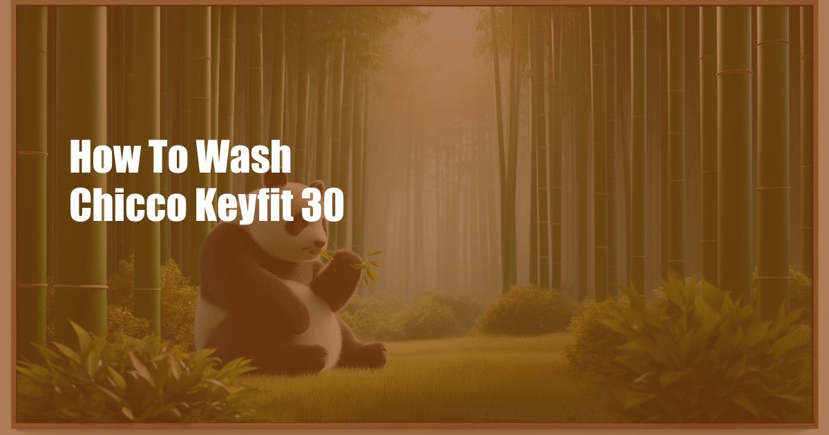 How To Wash Chicco Keyfit 30