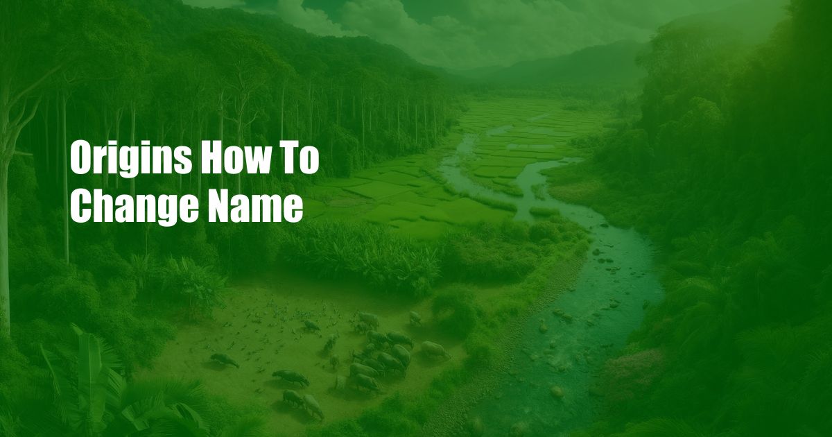 Origins How To Change Name