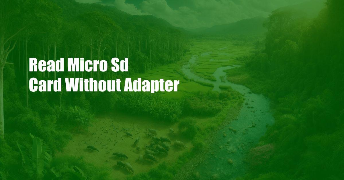 Read Micro Sd Card Without Adapter