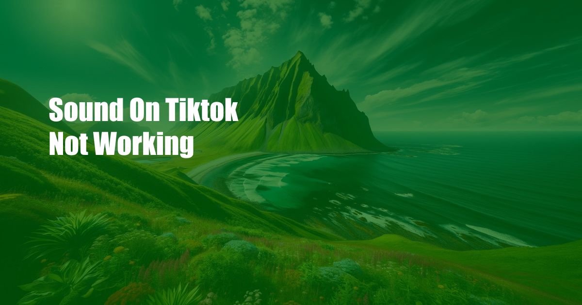 Sound On Tiktok Not Working