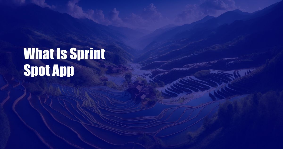What Is Sprint Spot App